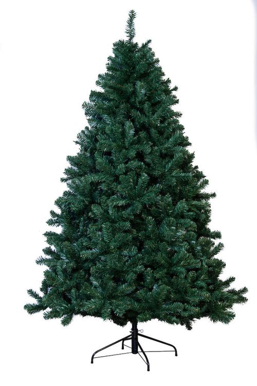 Arbor Vitae Fir Christmas Trees Arbor Vitae Fir Christmas Trees