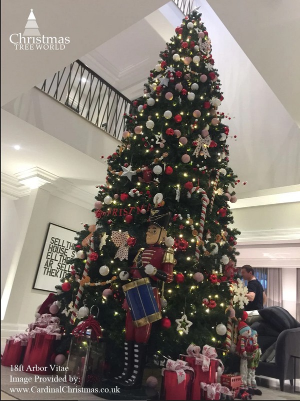 Large Fir Christmas Trees