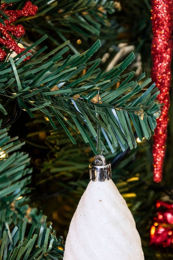 Boxed Fir Christmas Trees