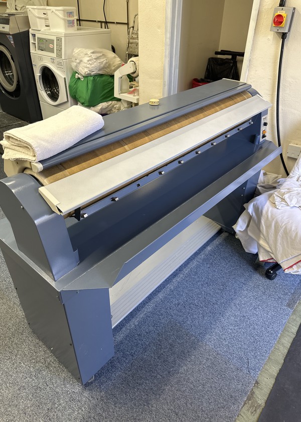 Secondhand Roller Iron Miele For Sale