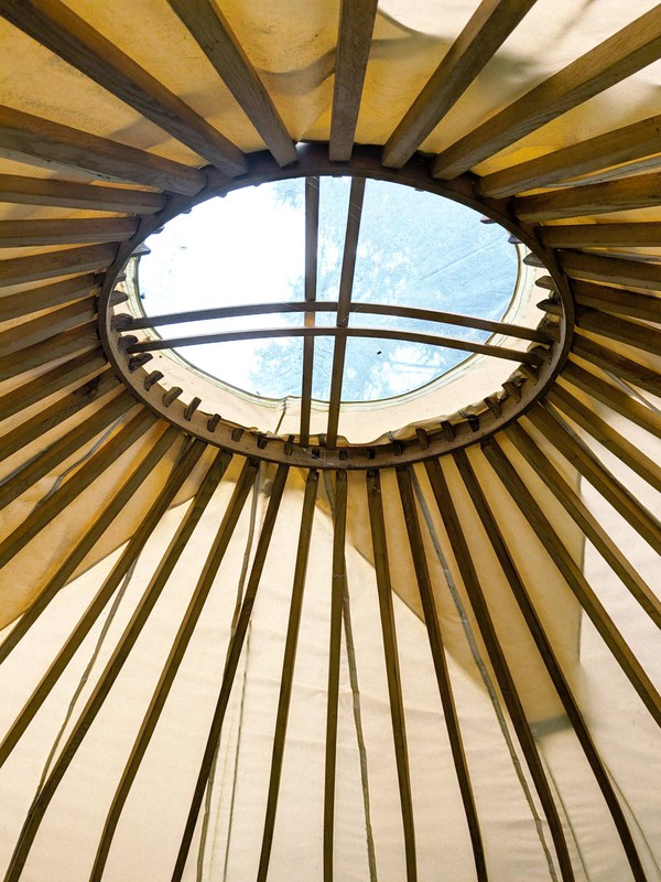 Yurt wheel and steamed ash rafters
