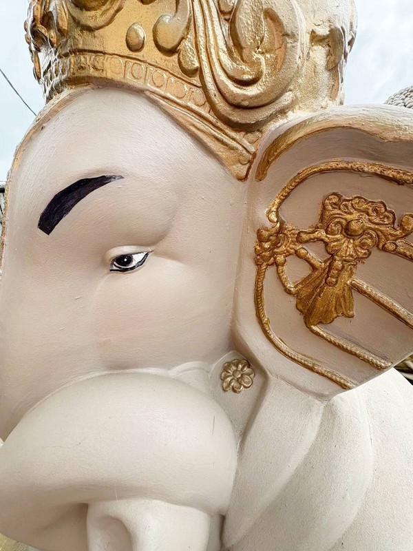 Ganesh with a gold crown and Jewellery