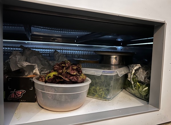Serve Over Counter Fridge