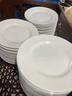 10.25 inch porcelain white plates for sale