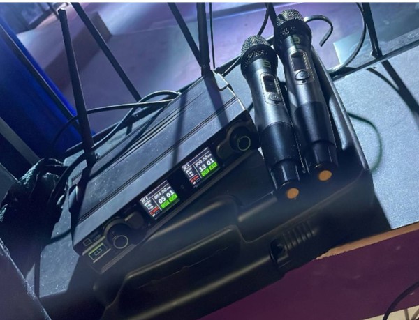 VONYX dual channel wireless microphone system