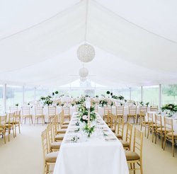 Beech Chivari Chairs
