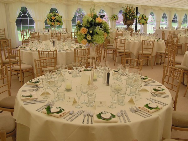 Beech Chiavari Chairs