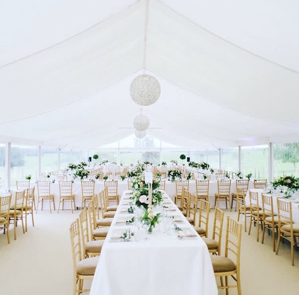 Beech Chivari Chairs