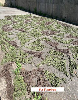 Camouflage Netting For Sale