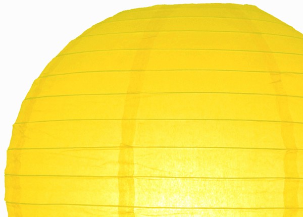 New Globe Lampshade