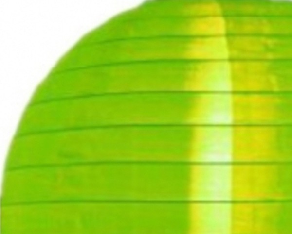 Unused Globe Lampshade