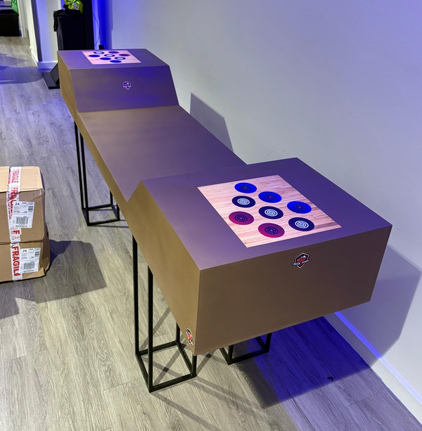 Used Custom Beer Pong Table