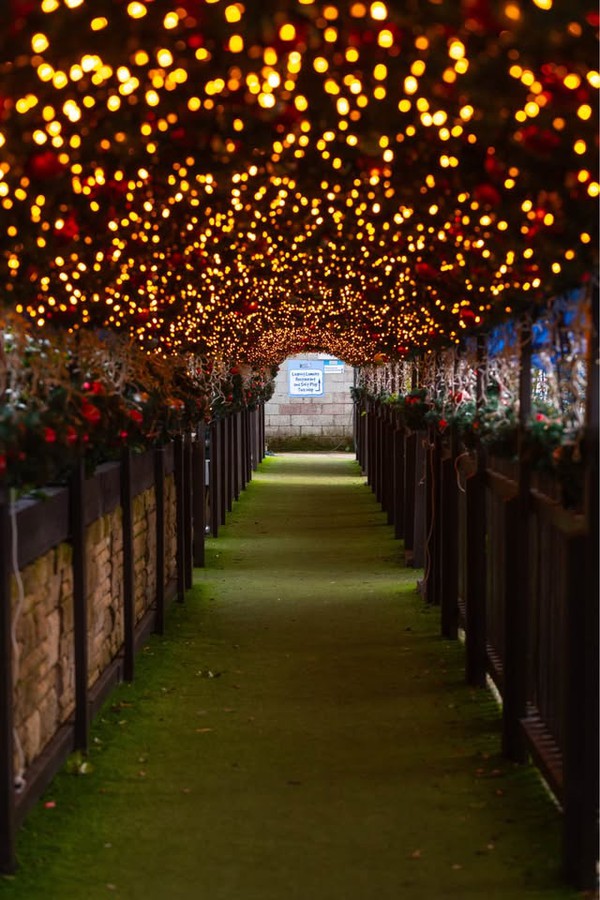 Xmas decor