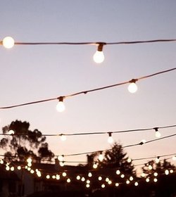 Festoon Lighting For Sale