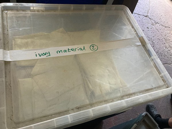 Box of Ivory Material