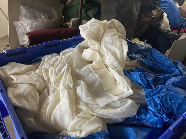 Ivory lining ?