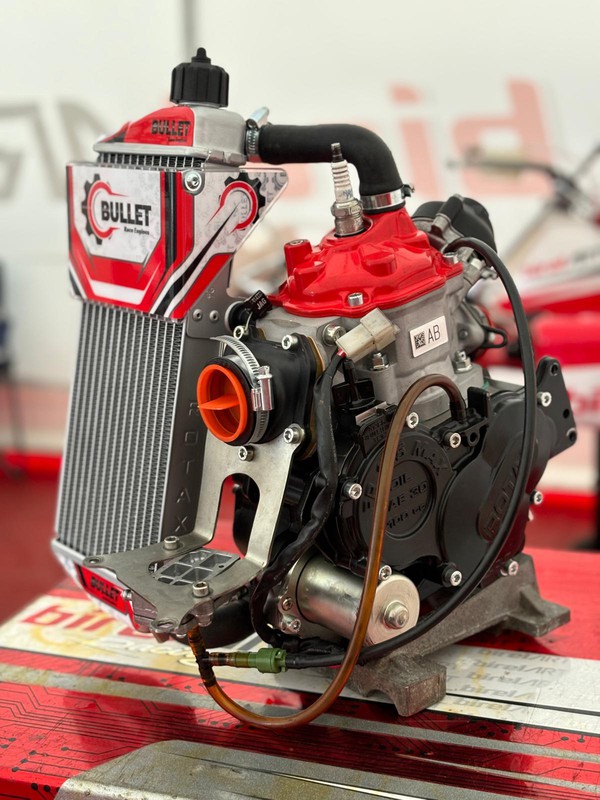 Rebuilt Rotax Max Engines Rebuilt Rotax Max Engines