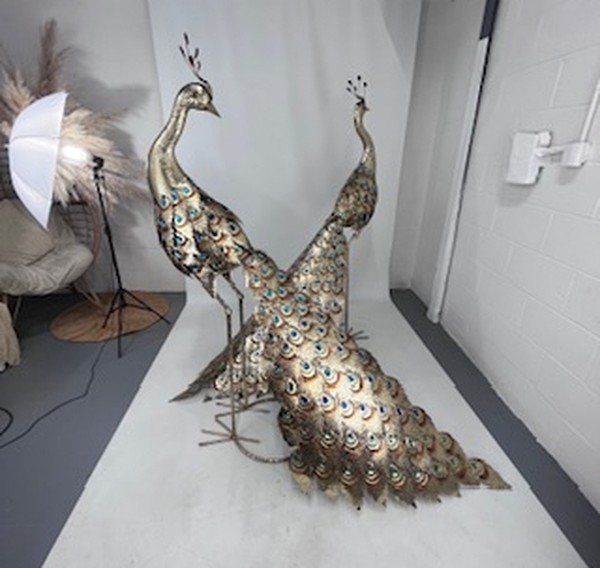 Used Large Gold Peacock Decorations