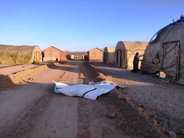 Military / Army tents for sale