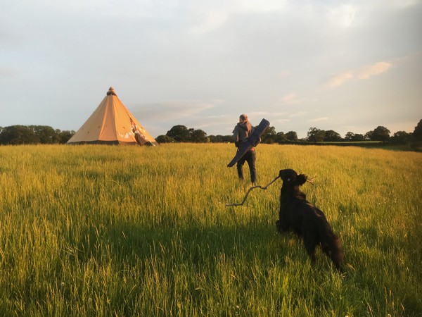 Secondhand Safir 9 CP PRO 5.5m Glamping Camping Adventure Tipi For Sale