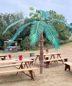Palm Tree Prop For Sale