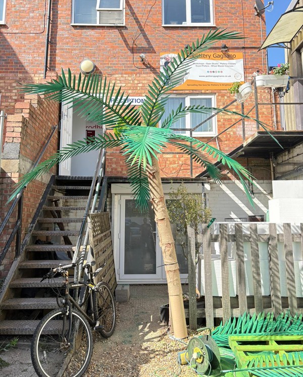 Palm Tree Prop
