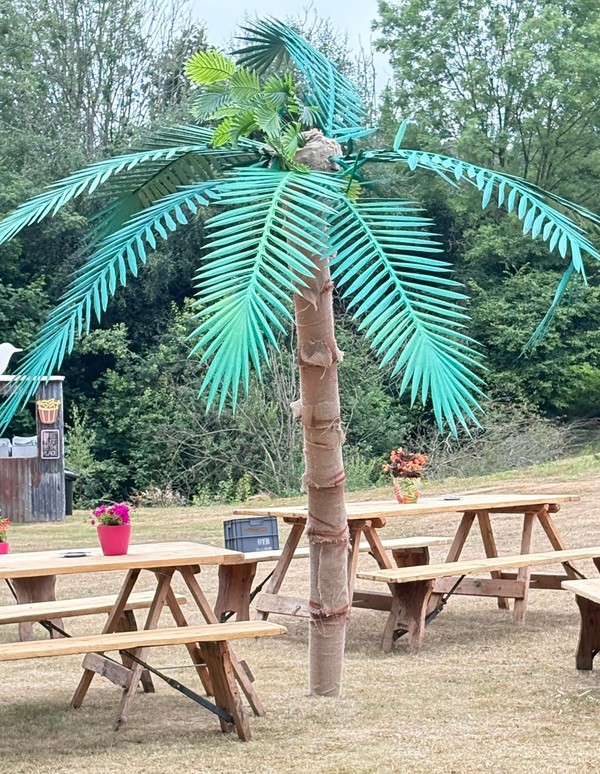 Secondhand Palm Tree Prop
