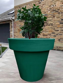 4x Giant Plant Pots For Sale