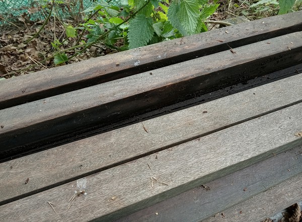 Unused Hardwood Poles