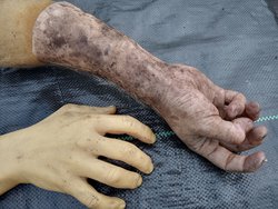 Severed Arm prop for sale