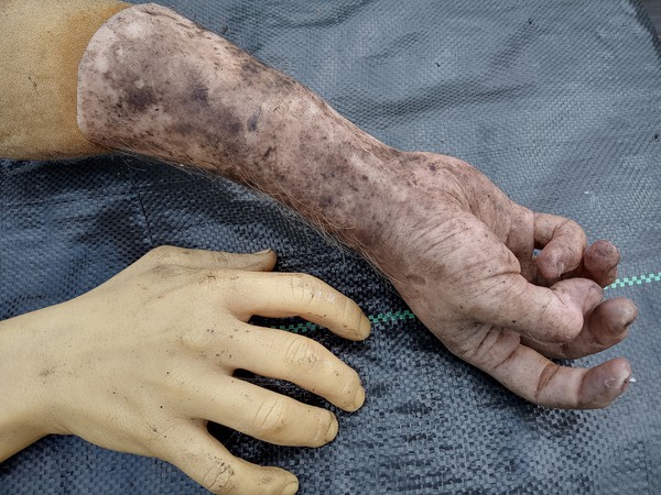 Severed Arm prop for sale