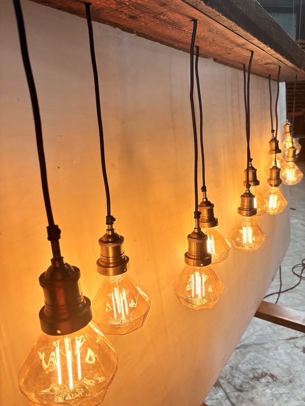 Edison rustic lights