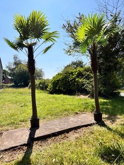 Extra Large Artificial Palm Tree