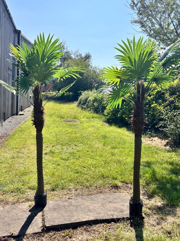 Extra Large Artificial Palm Trees
