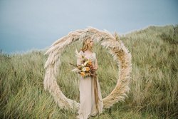 Boho Natural Beige Pampas Grass, Dried  c.100 stems - Cheshire