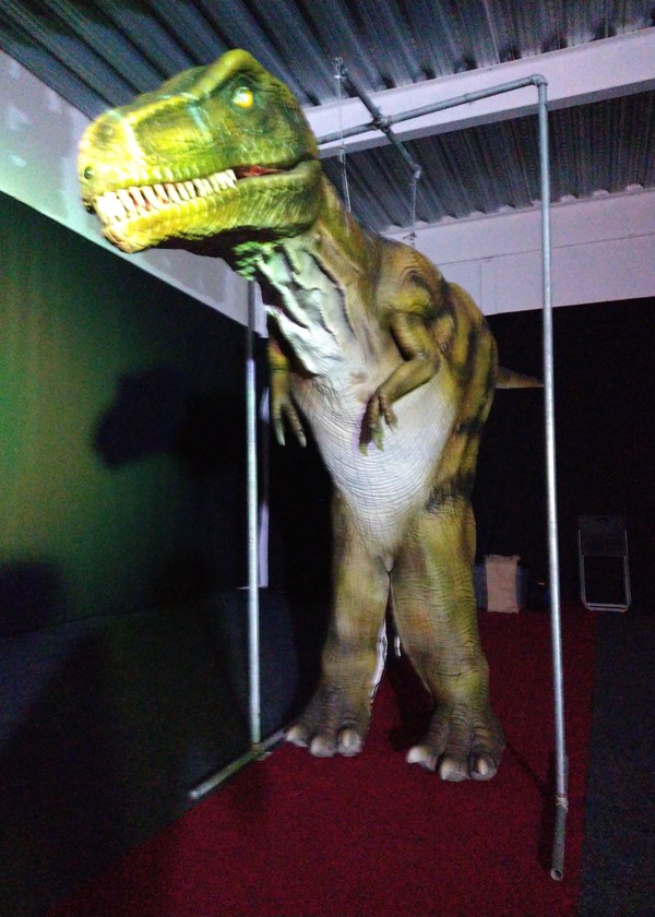 Secondhand Realistic Walking Dinosaur T Rex For Sale