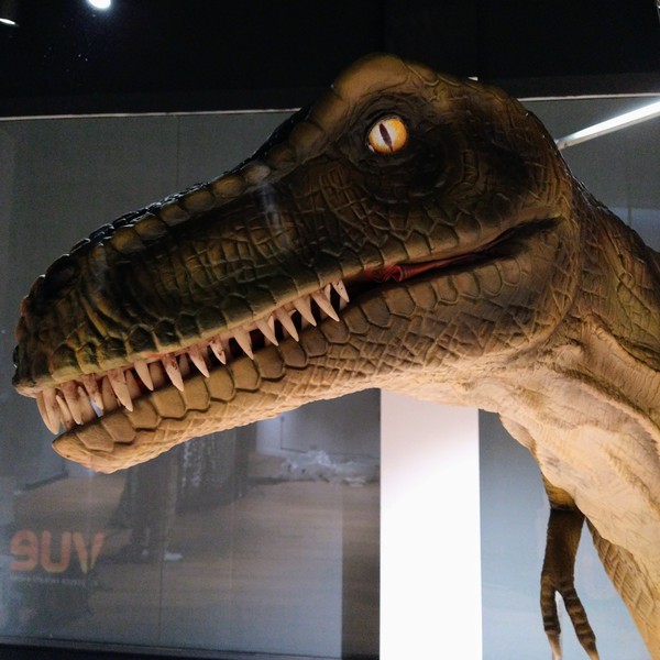 Secondhand Realistic Walking Dinosaur T Rex For Sale