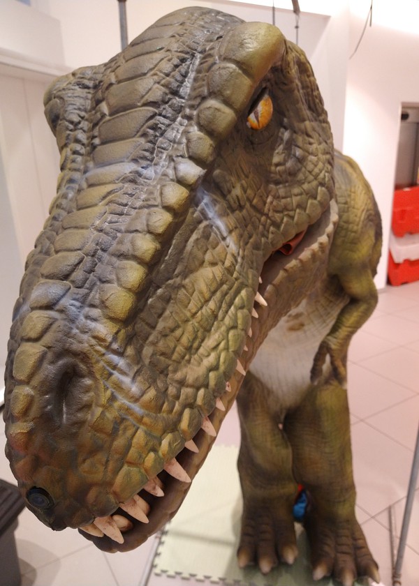 Secondhand Realistic Walking Dinosaur T Rex For Sale