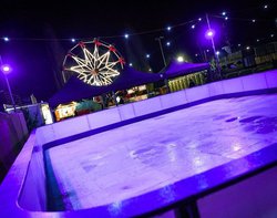 Synthetic Ice Rink For Sale