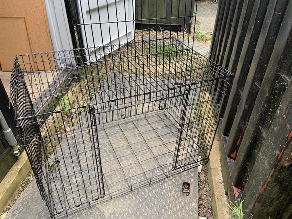 Folding Dog Cage