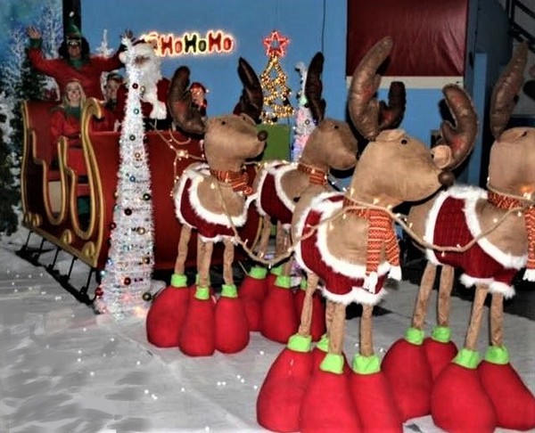 Ice And Roller Rink Business For Sale