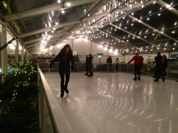 Synthetic Ice Rink Business