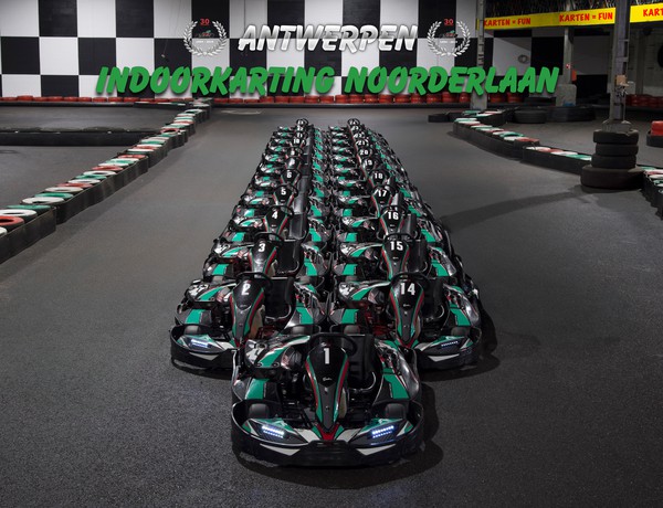 20 Kart Fleet For Sale