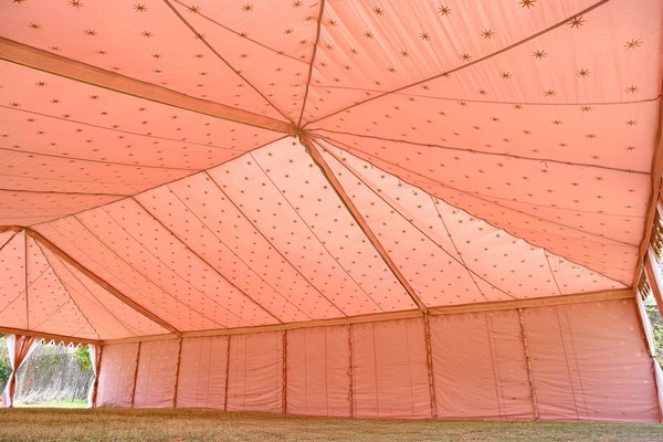 Pink with gold stars Indian lining