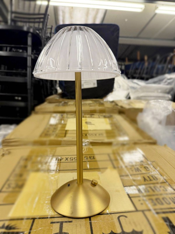 Battery operated table light