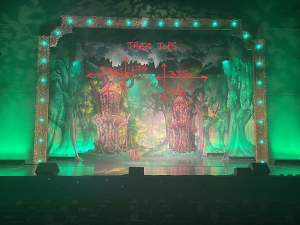 Forest backdrop