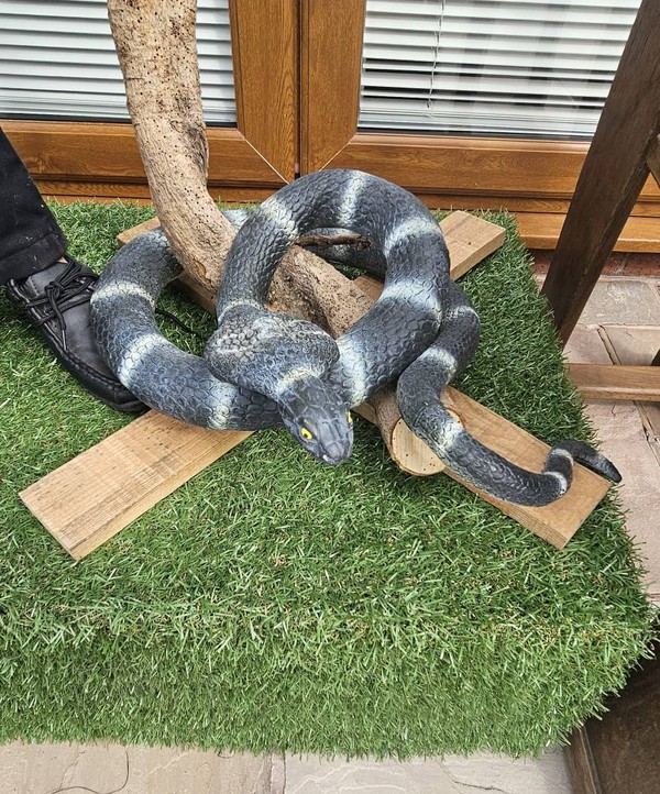 Harry potter Cobra Snake