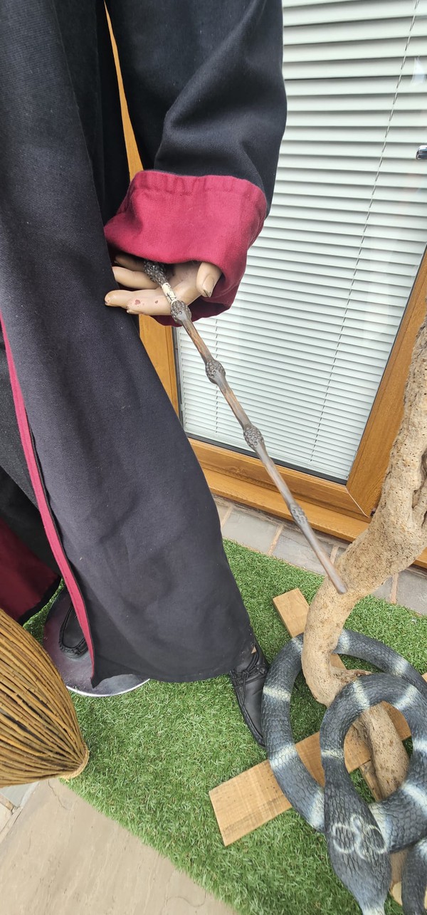 Harry Potter Wand in Hand