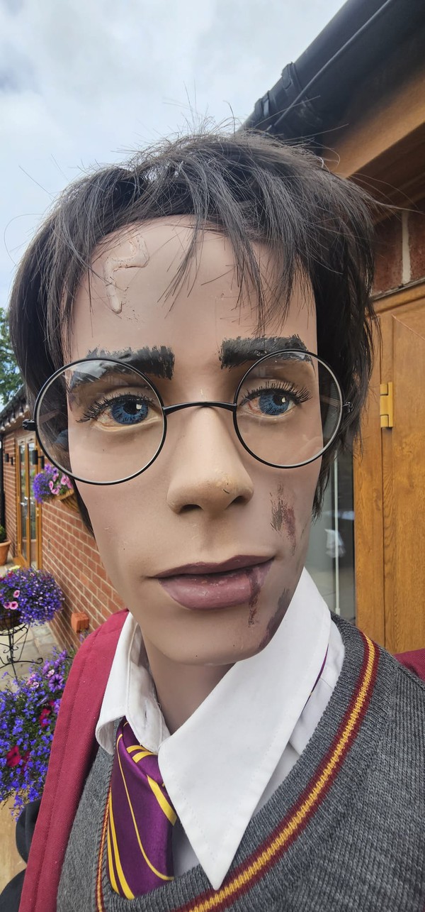 Nimbus 2000 broom