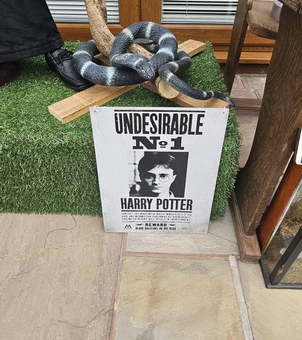 Undesirable No1 Harry Potter